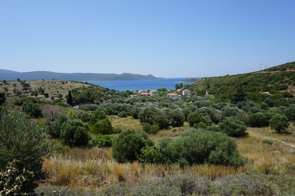 listing-image