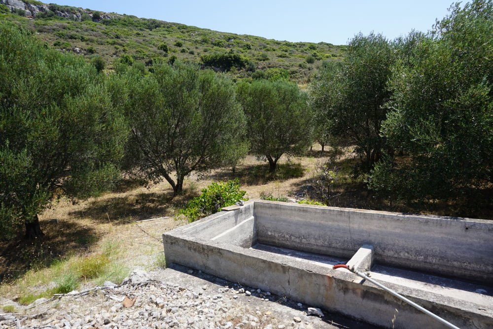listing-image