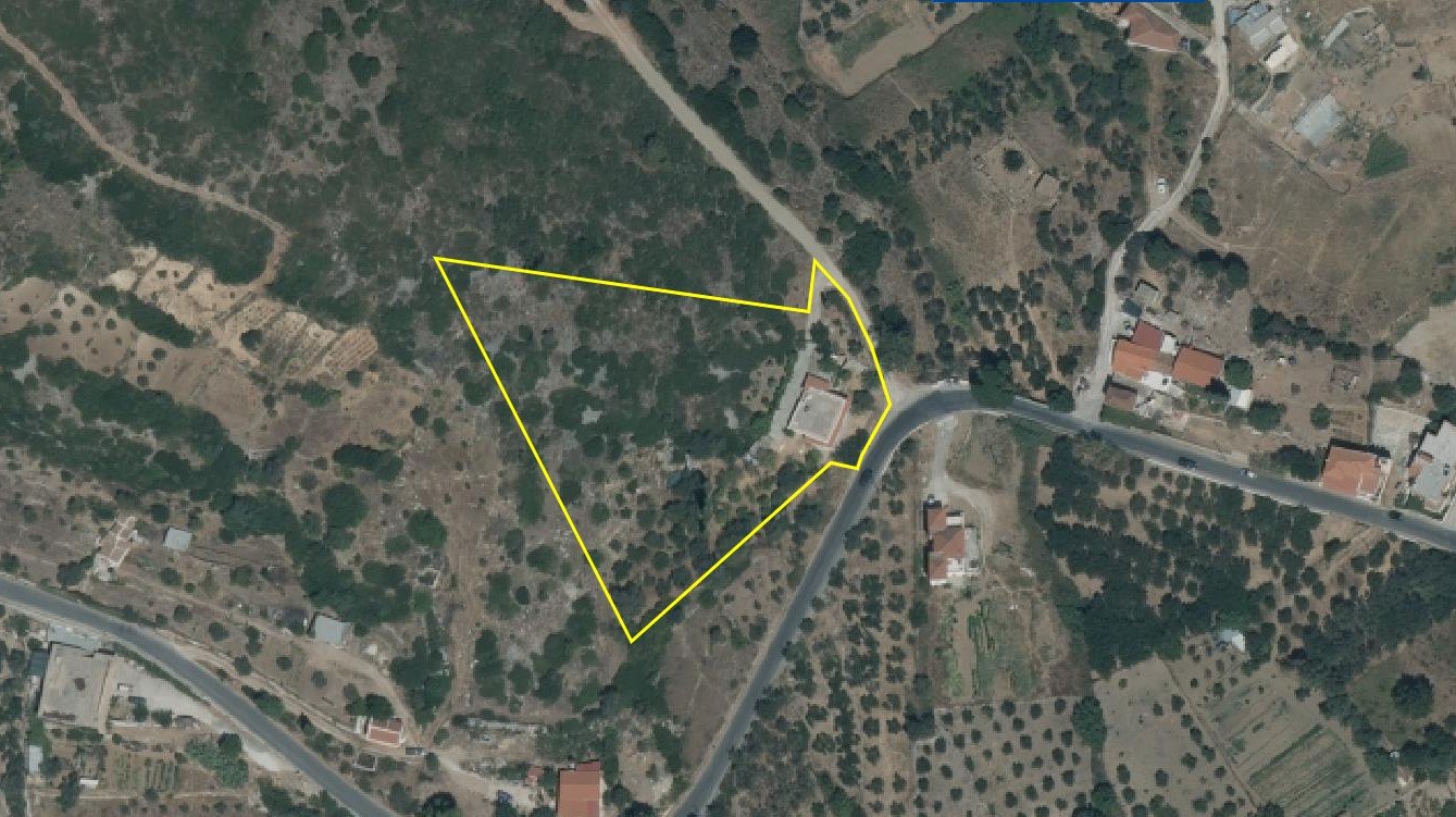 listing-image