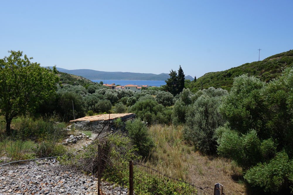 listing-image