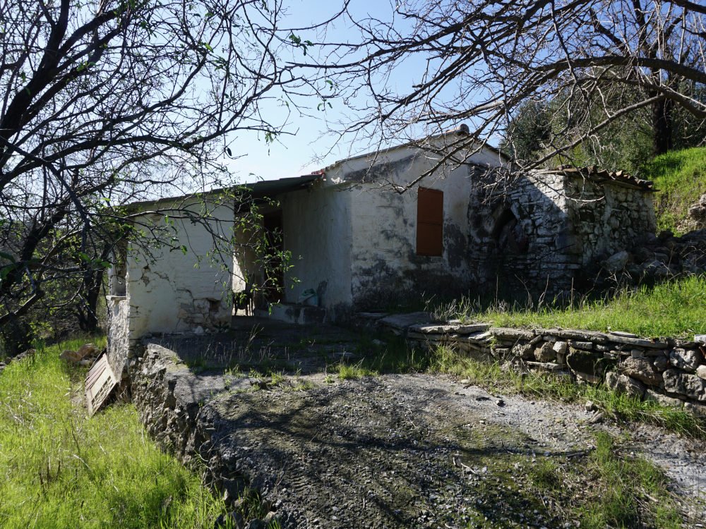 listing-image