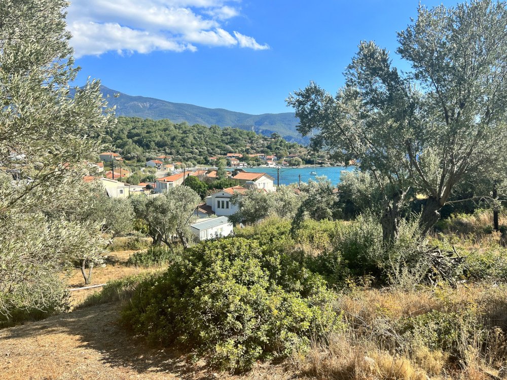 listing-image