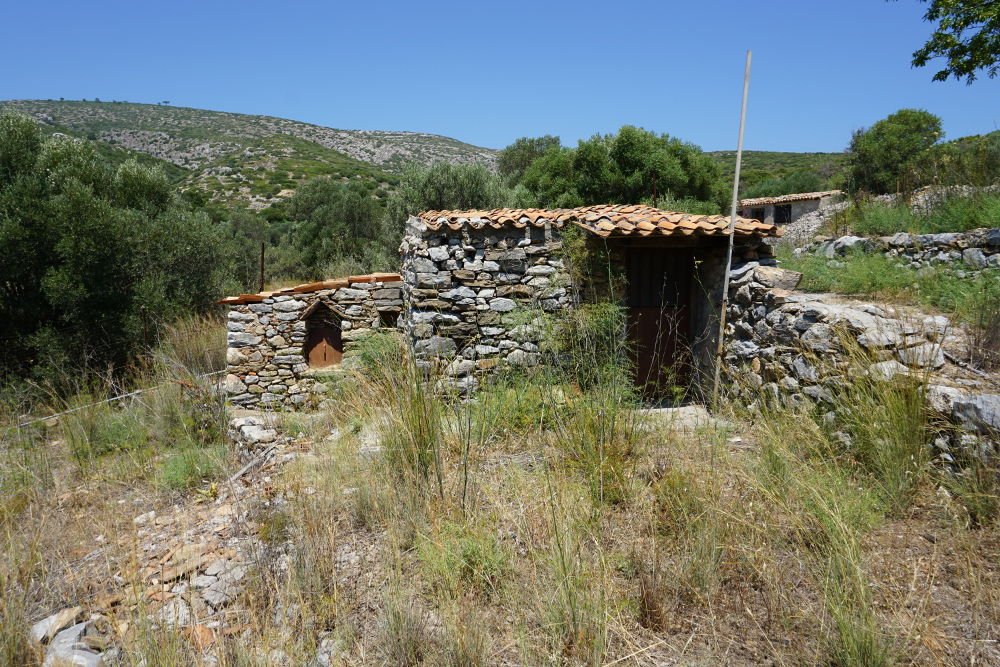listing-image