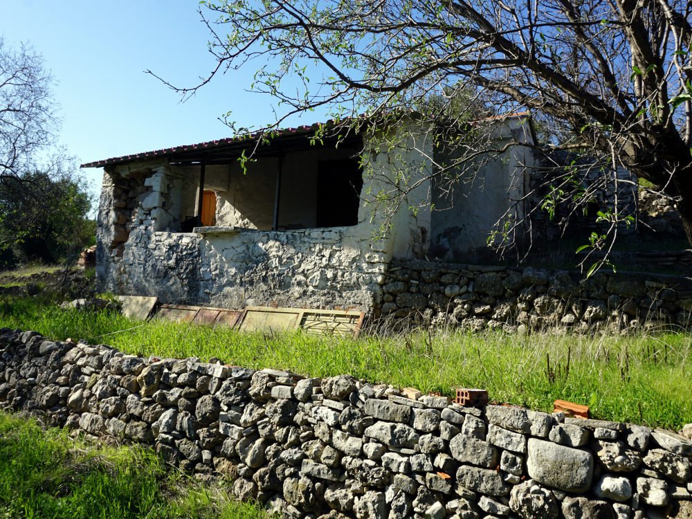 listing-image