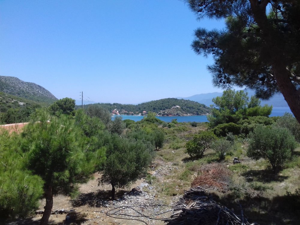 listing-image