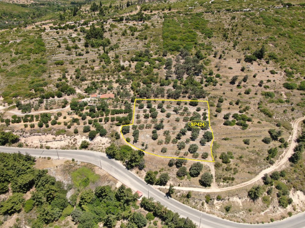 listing-image