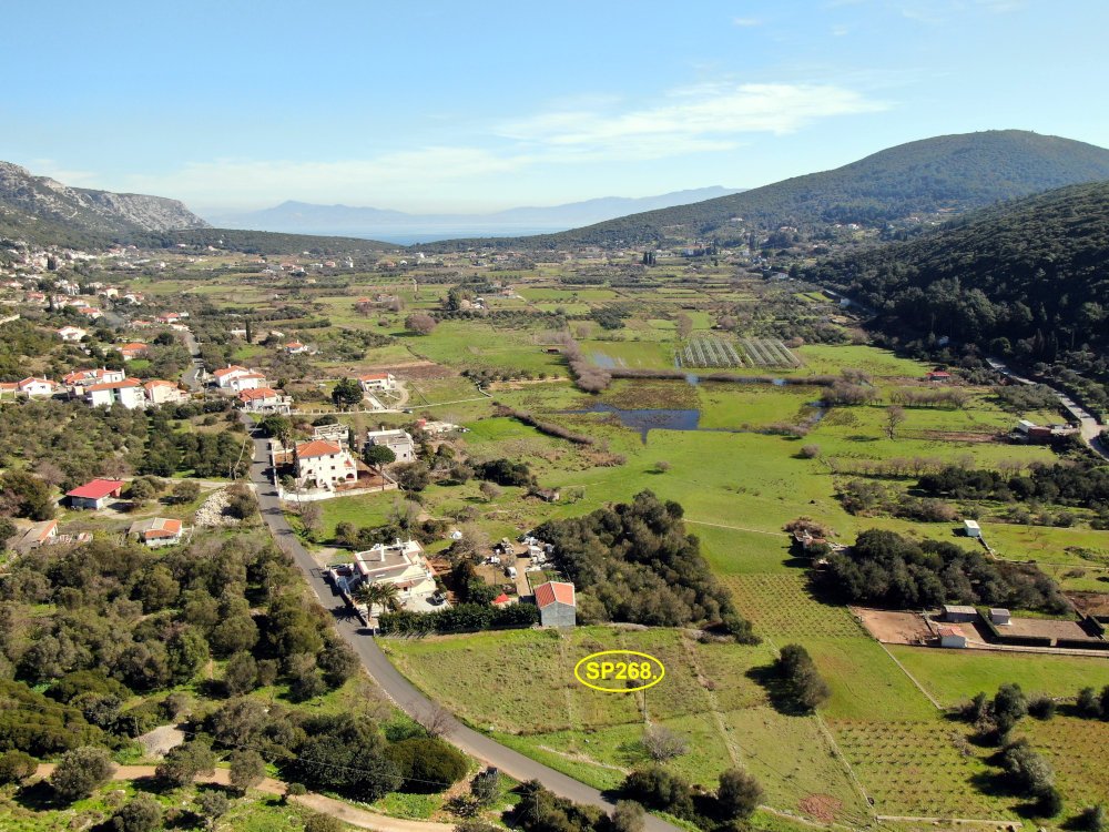 listing-image