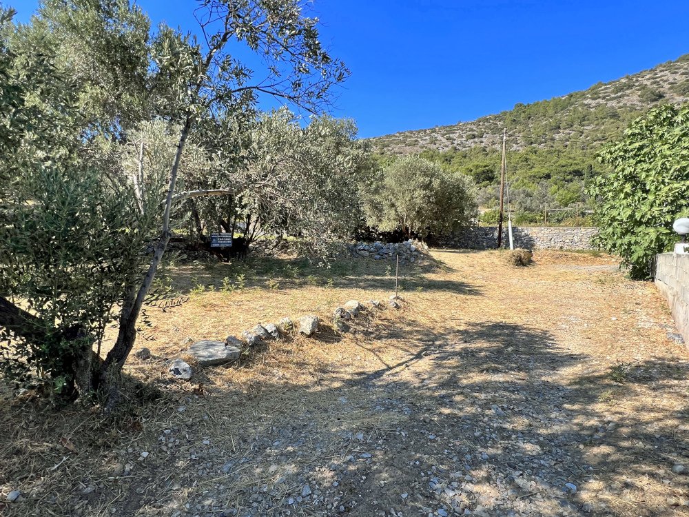 listing-image