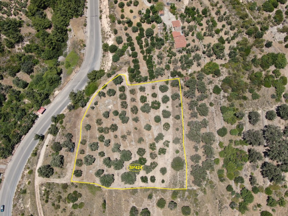listing-image