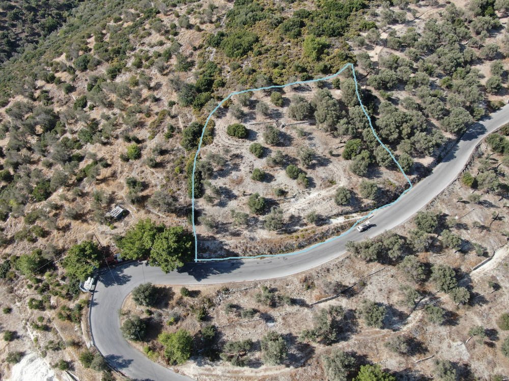 listing-image