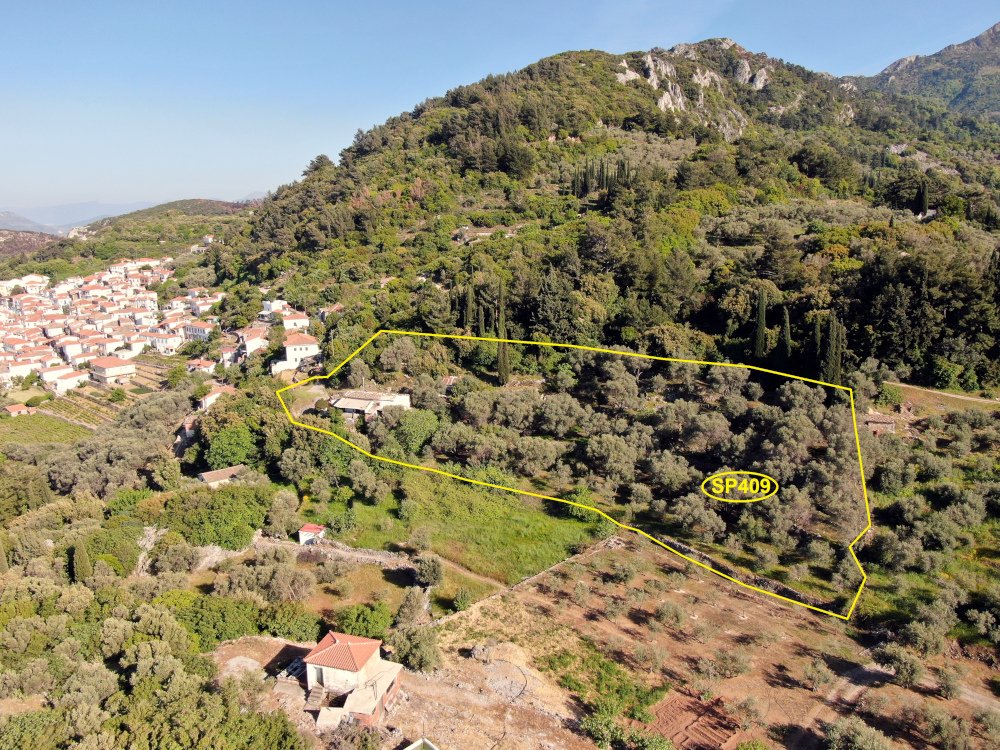 listing-image
