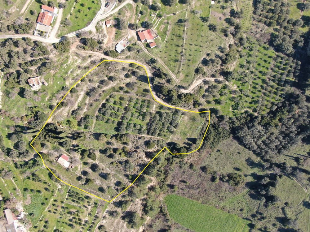 listing-image