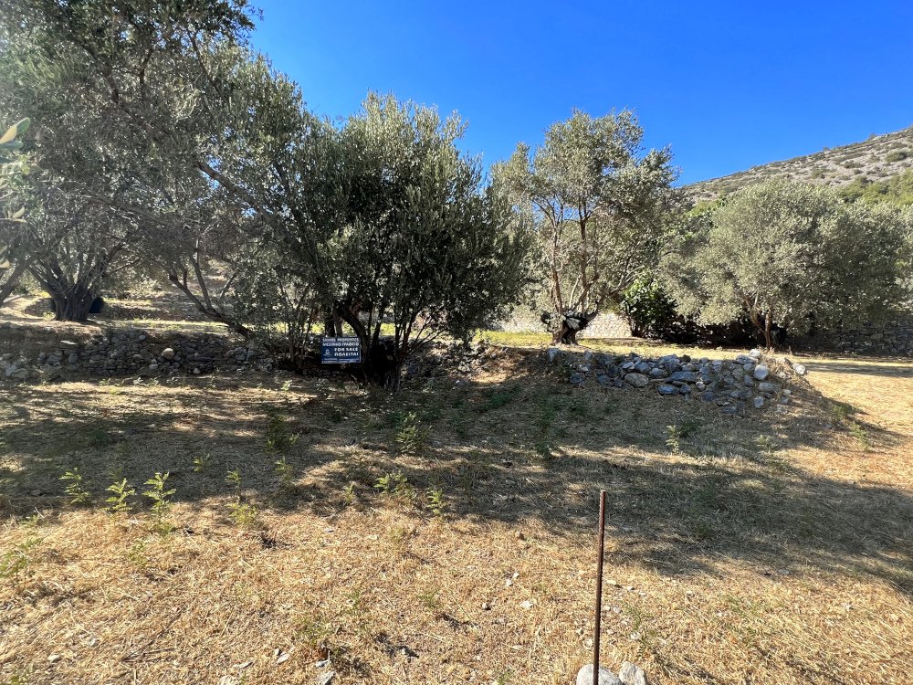 listing-image