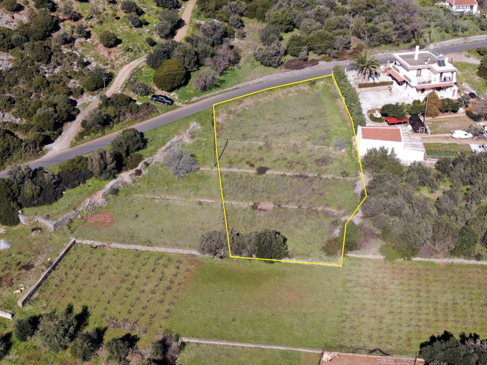 listing-image