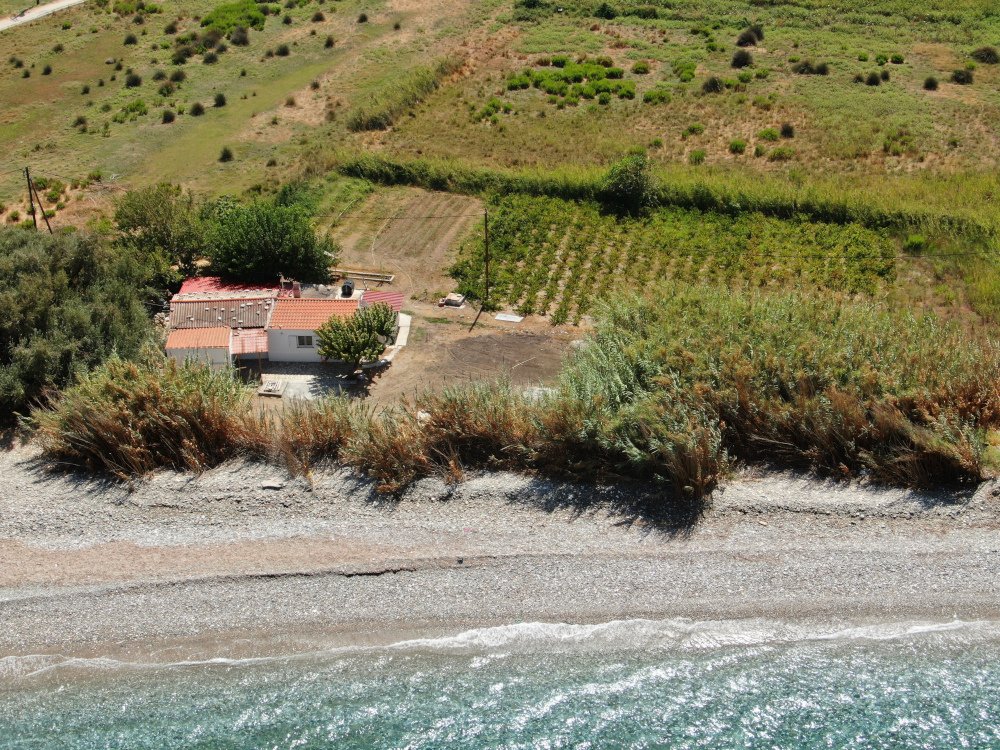 listing-image