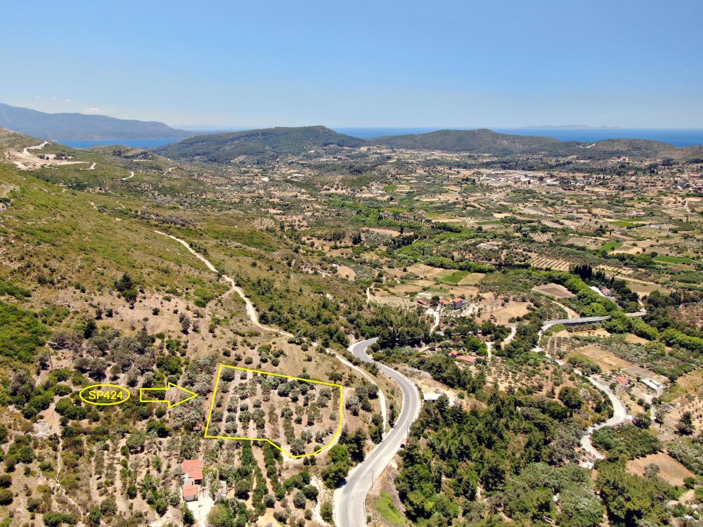listing-image