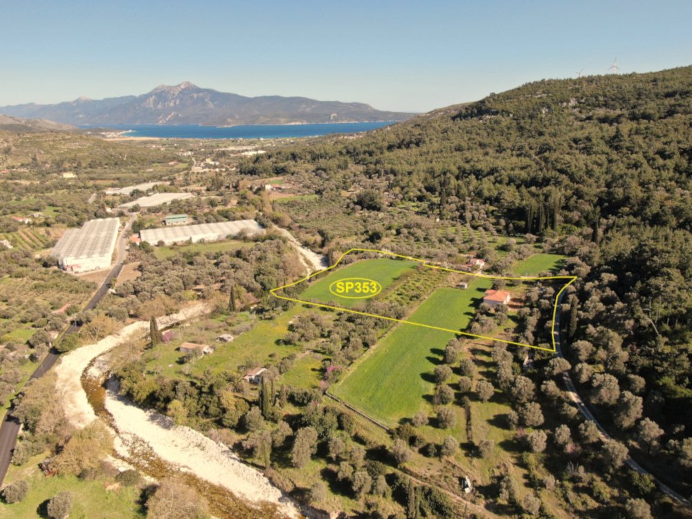 listing-image