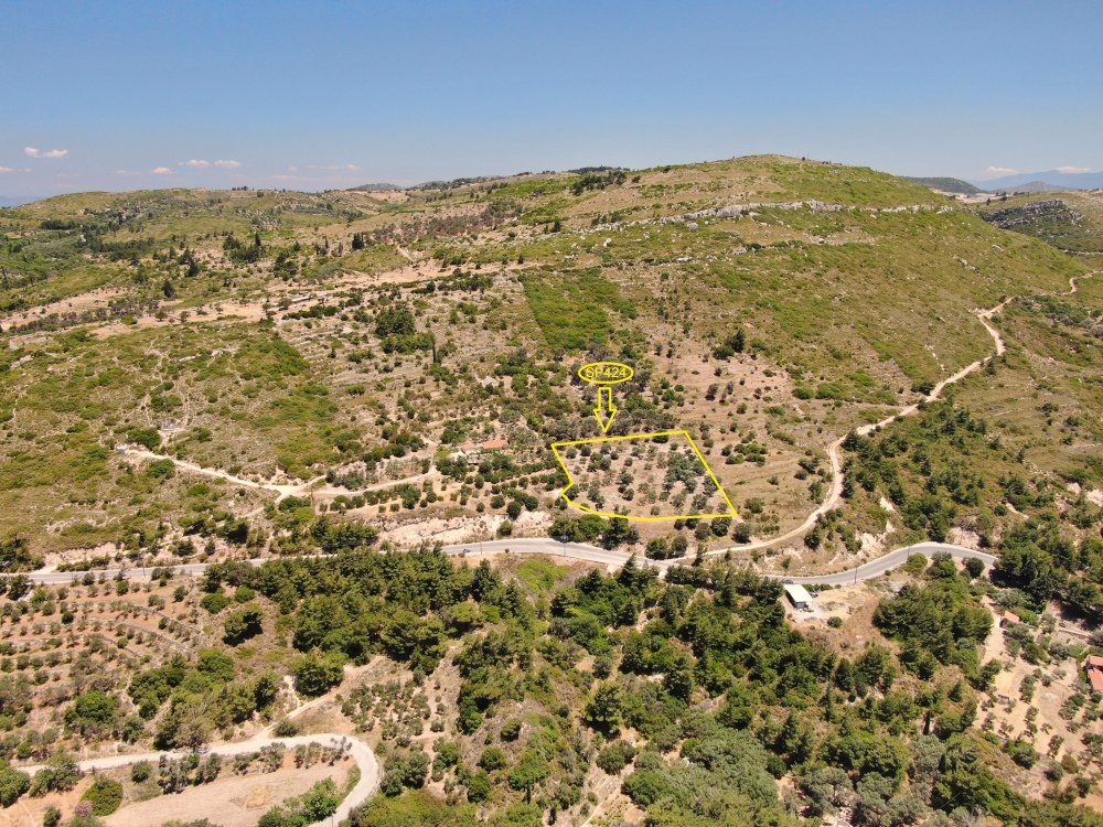 listing-image