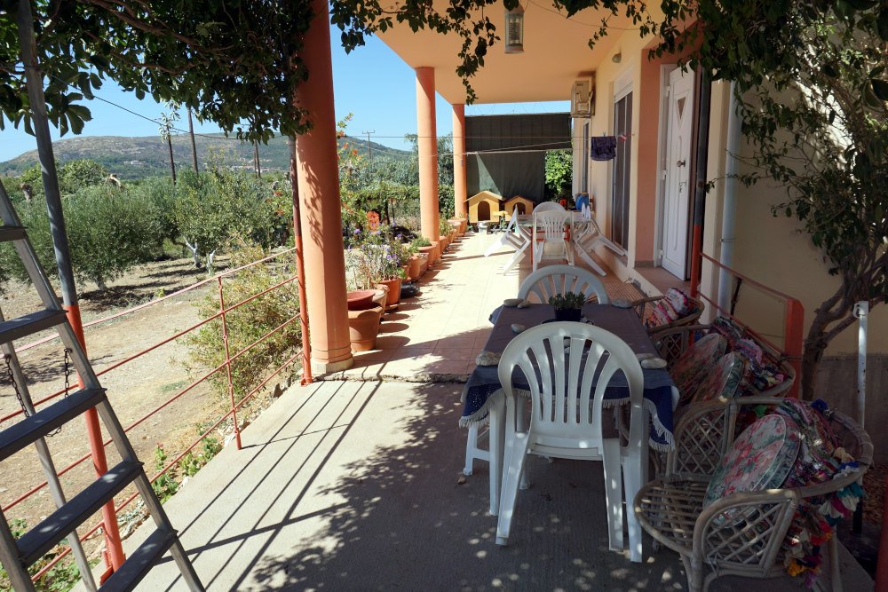 listing-image