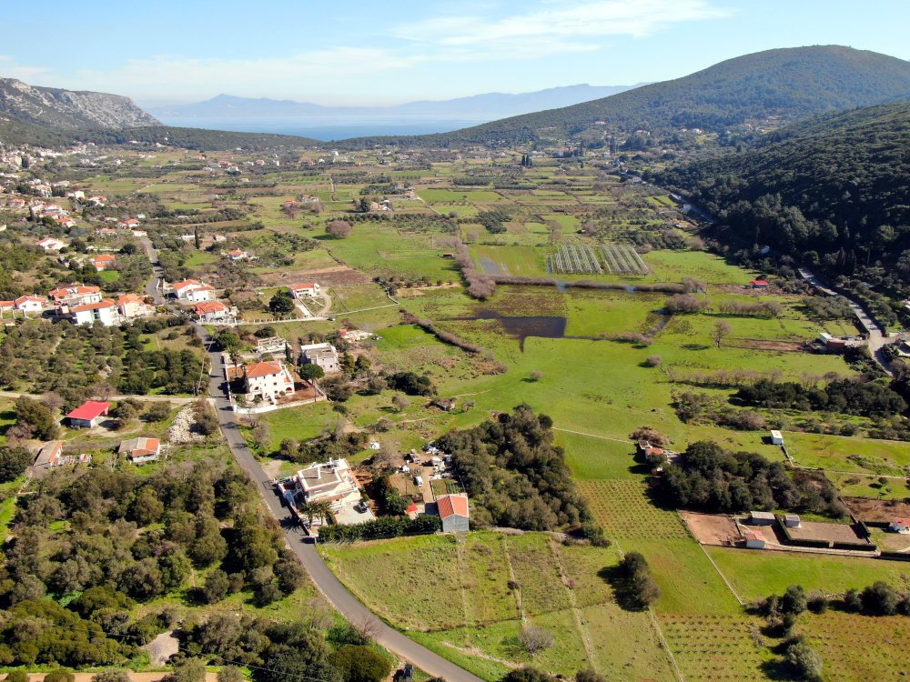 listing-image