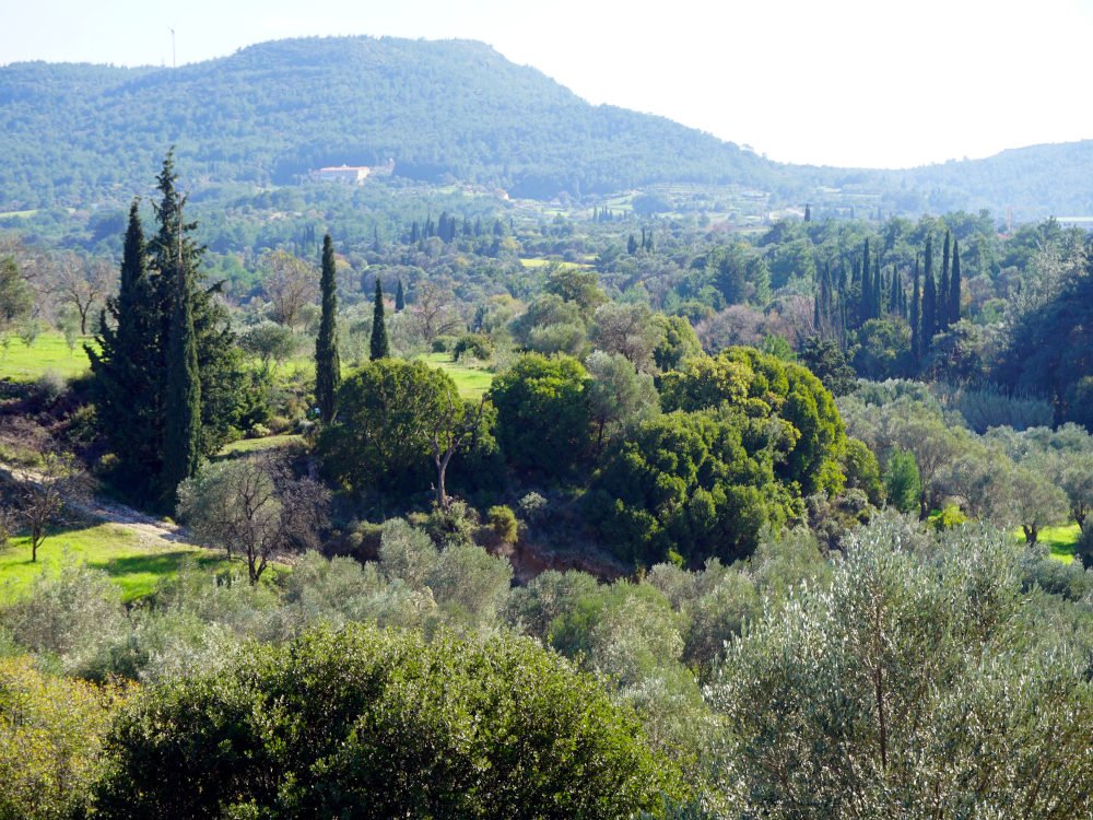 listing-image