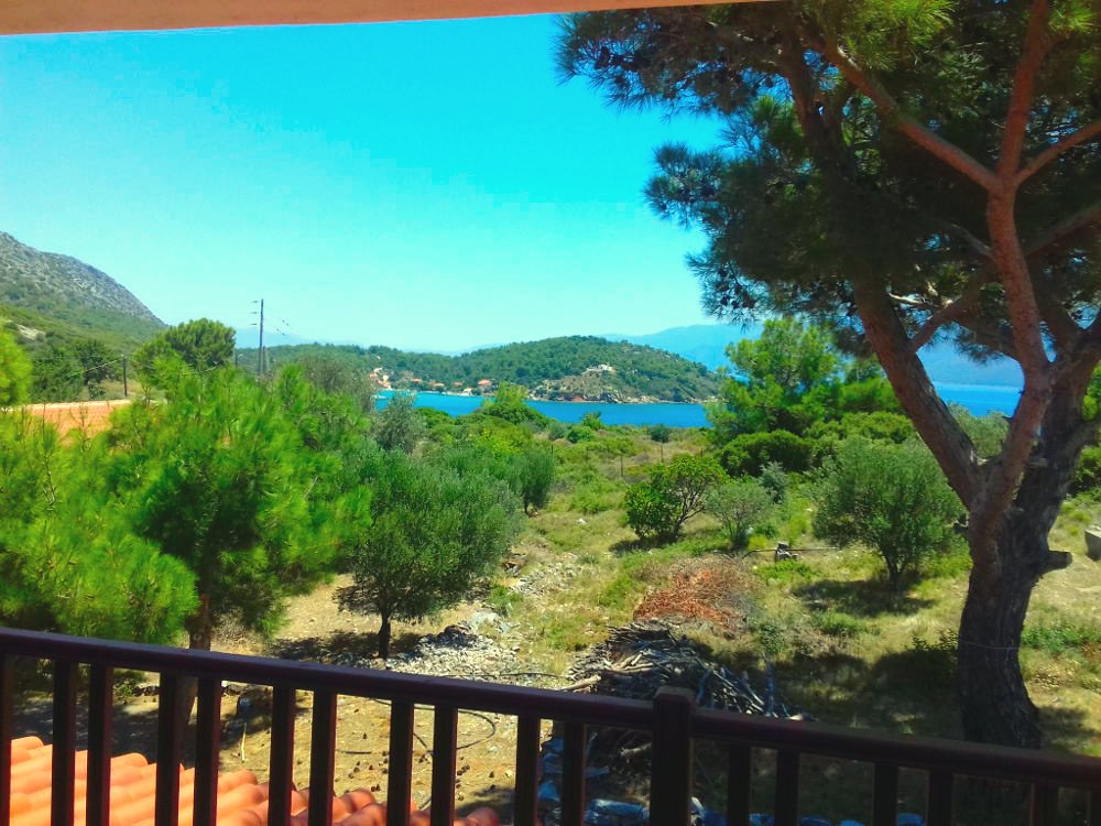 listing-image