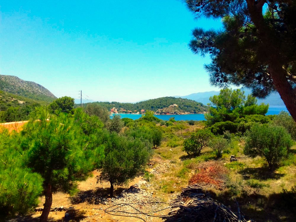 listing-image