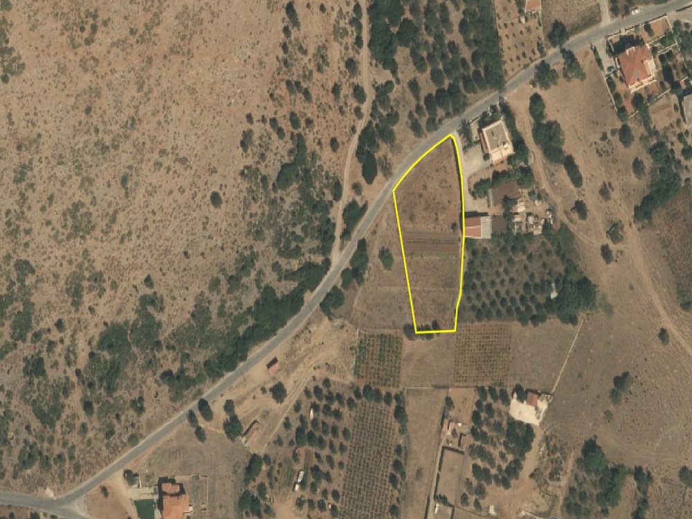 listing-image