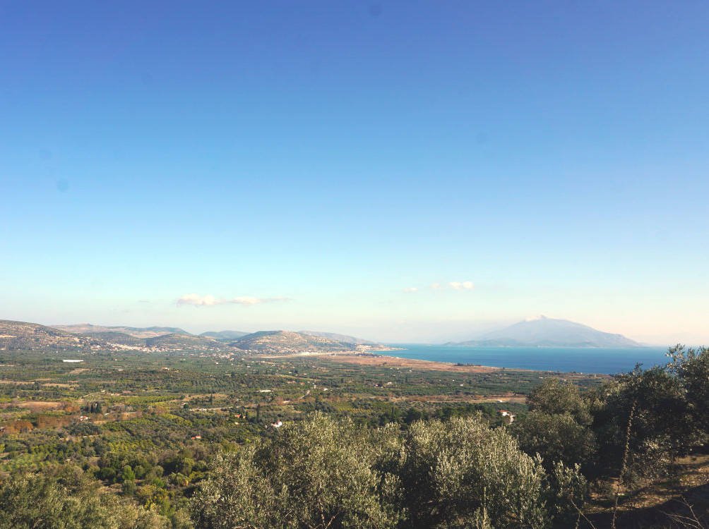 listing-image