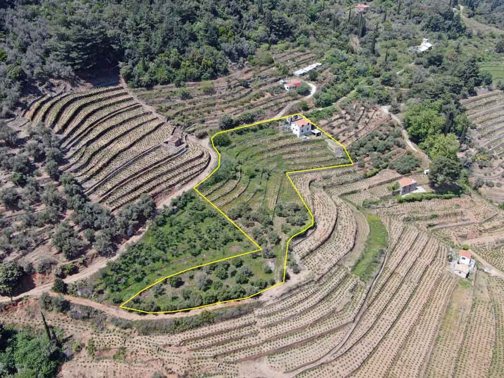 listing-image