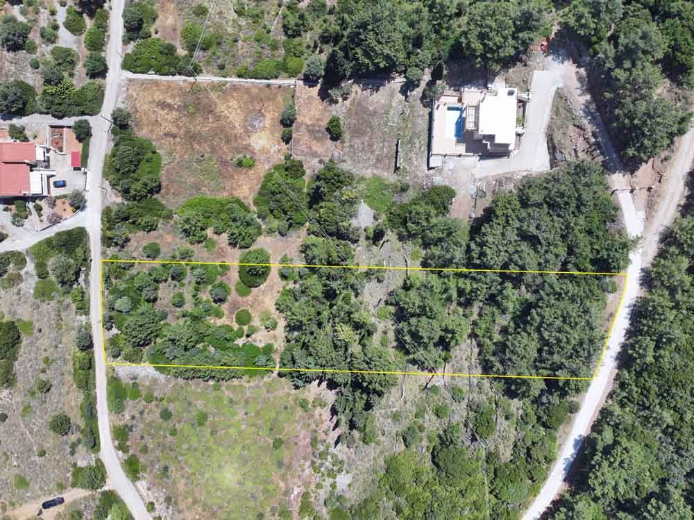 listing-image