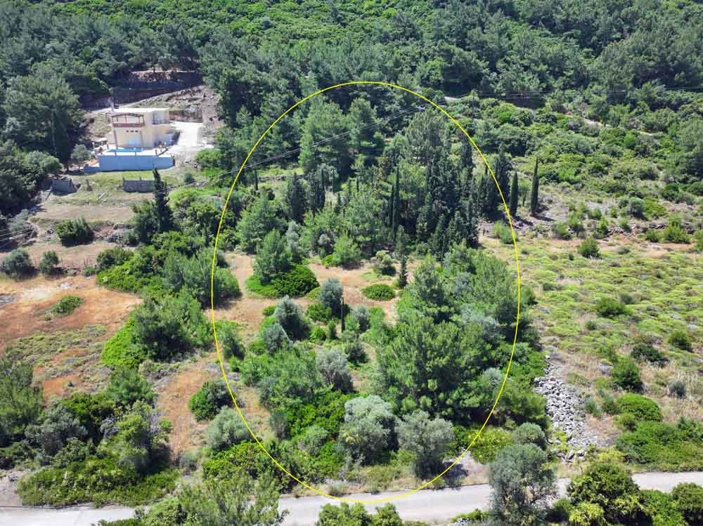 listing-image