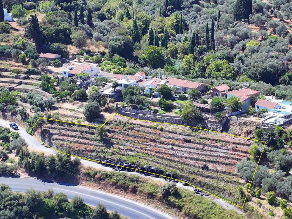 listing-image