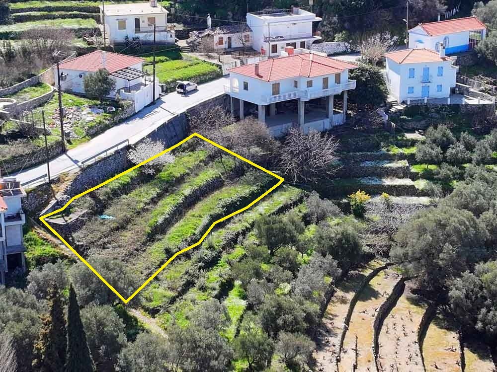 listing-image