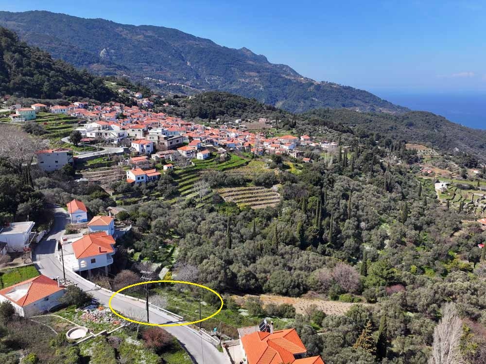 listing-image