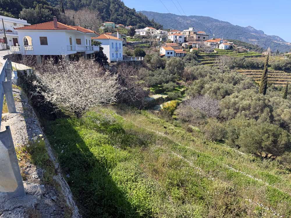 listing-image