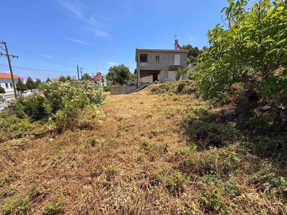 listing-image