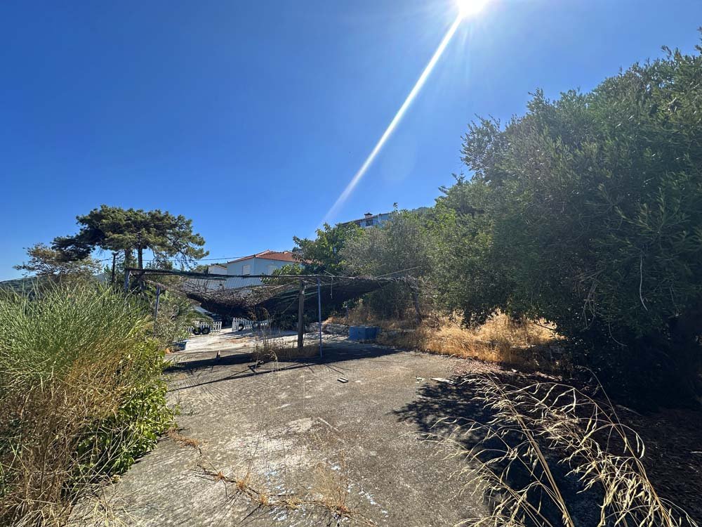 listing-image