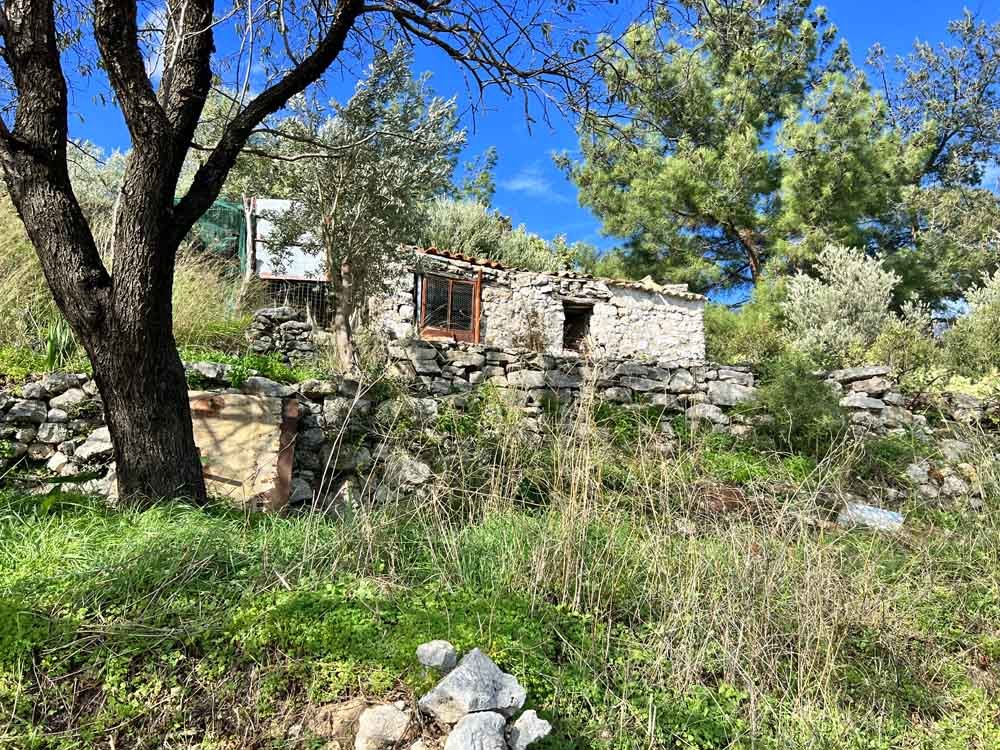 listing-image