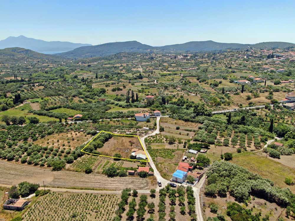 listing-image