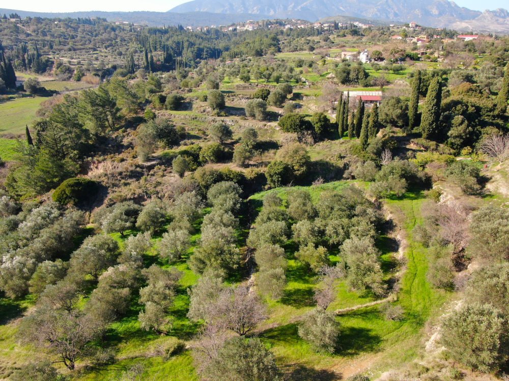 Property Features Image