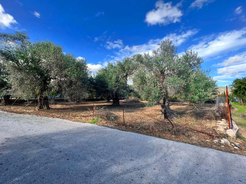 Property Features Image